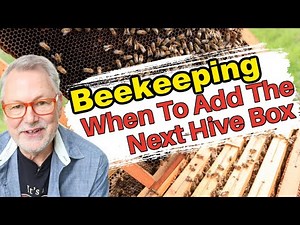 Beekeeping: When Should You Add Another Box To Your Hive? Too Late-Swarm. Too Soon-No Comb.