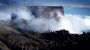 动听的纯音乐《Nature》，唯美生命，唯美大自然