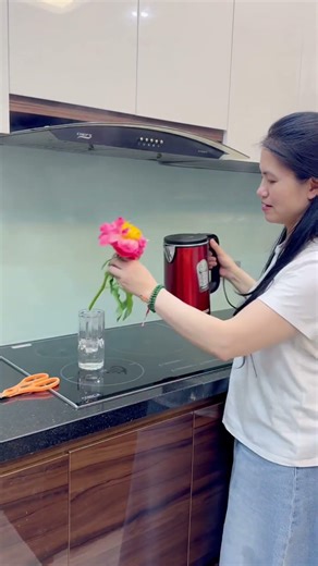 Hoa mẫu đơn héo rũ đừng vội bỏ, hồi sinh kiểu này lại đẹp mê ❤️