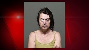 Little Chute bank robbery suspect charged