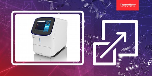 Invitrogen iBright Analysis Software - an introduction and overview of key analysis workflows