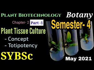 SYBSc | Sem-4/Pep-2| Chapter-2 (Part 1)| Introduction to Plant Tissue Culture | Cellular Totipotency