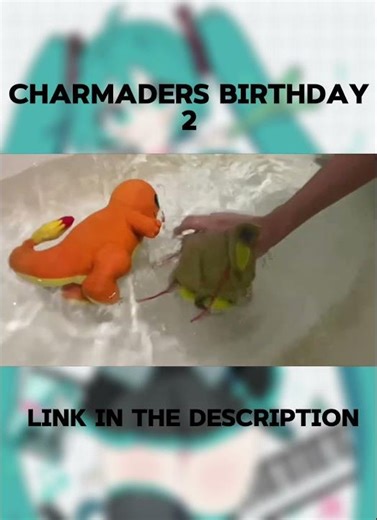 Charmander birthday 2 The movie