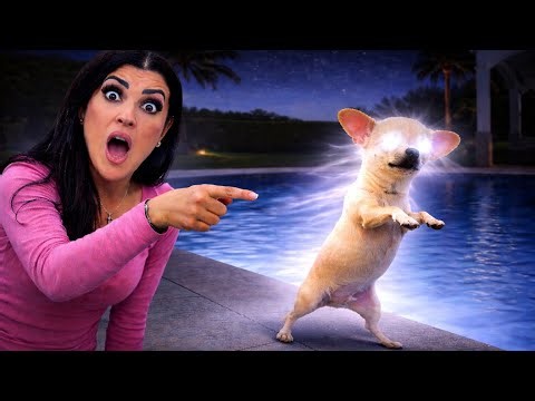 We Caught Our Dog Doing THIS at Night…