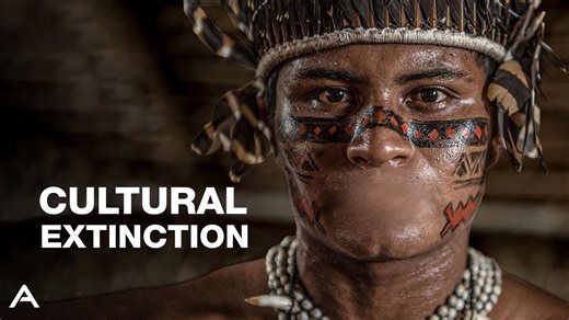 Exploring why languages are dying and what it means