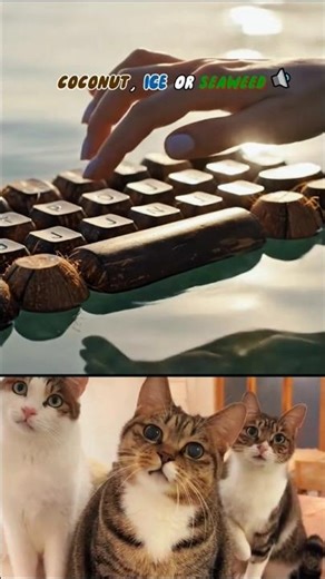 Coconut vs Ice vs Seawood AI Keyboard 🥥🧊🪵 | Keyboard ASMR