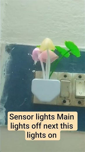 sensor lights house design lights | any area hallarea mainlights | off nexte design lights on good |