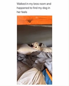 I find this too funny 😂 | Betch