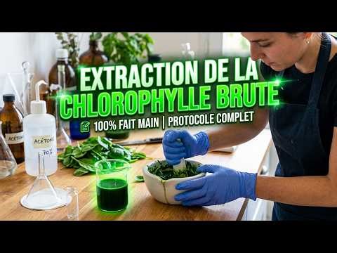 COMMENT EXTRAIRE LA CHLOROPHYLLE ? (Protocole Complet & Fascinant)