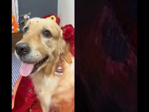 veri funny 🤣🤣😝😜🤪🤣