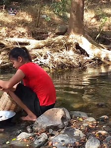 41K views · 561 reactions | Jungle Food TV on Reels | Facebook