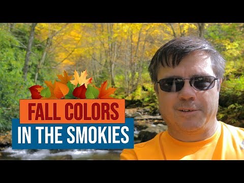 Fall Colors in the Great Smoky Mountains National Park