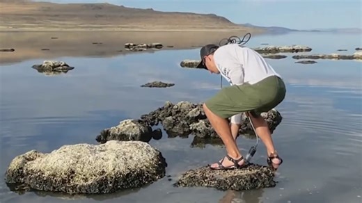 Scientists in Utah discover new species of roundworms