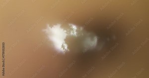 Scientific microscopic examination of mold developing on cheese surface. Fungal hyphae and spores visible in food microbiology study