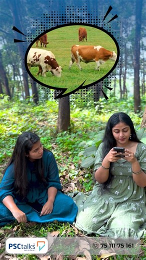 PSCtalks on Instagram: "ഒറ്റ പരീക്ഷയിലൂടെ നേടാം മികച്ച സർക്കാർ ജോലി 📝 പ്രിലിംസ്, മെയിൻസ് തുടങ്ങി വിവിധ ഘട്ട പരീക്ഷകൾ എഴുതാതെ 🧾 ഒറ്റ പരീക്ഷയിലൂടെ മികച്ച സർക്കാർ ജോലി നേടാം ഡയറി ഫാം ഇൻസ്ട്രക്ടർ കേരള സർക്കാരിന് കീഴിൽ ക്ഷീര ക്ഷേമ വികസന വകുപ്പ് നടത്തുന്ന 👩‍🌾 കർഷക ക്ഷേമ പ്രവർത്തനങ്ങൾ സംഘടിപ്പിക്കുക എന്നതാണ് പ്രധാന ഉത്തരവാദിത്വം. 👥 ക്ഷീര കർഷകരുമായി നേരിട്ട് സംവദിക്കാൻ ഇടം നൽകുന്ന ഈ മികച്ച ജോലി 🏆 കേരള പിഎസ്സി പരീക്ഷയിലൂടെ നേടിയെടുക്കാം 🧪 പരീക്ഷാഘടന* 📊 നൂറു മാർക്ക് | ❓ 100 ചോദ്യങ്ങൾ | ⏱️ 90 മിനിറ