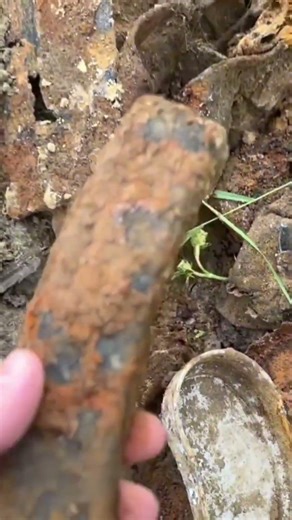 WW2 relics buried for decades. Detected and revealed.