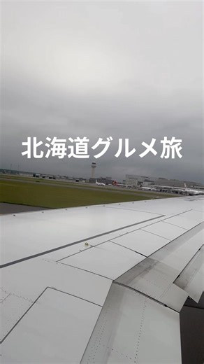 【北海道グルメ旅】札幌市内にあるスープカレーのお店「らっきょ」に行ってきました！チキンがホロホロでスープとの相性が抜群でした♪ #札幌グルメ #スープカレー #らっきょ