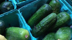 Todd Sandstrum, Farm Manager at Medway Community Farm, explains the benefits and offerings of the farm's CSA program. Learn how you can have fresh, wholesome, locally sourced food on your table, while supporting local agriculture. | Medway Cable Access | Facebook