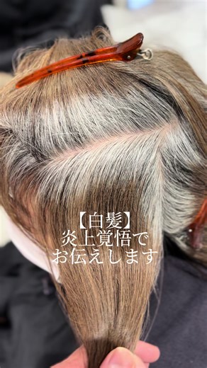 白髪について大事な事😌#大人ハイライト #白髪ぼかしカラー #白髪
