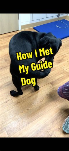 Two years ago, I went to guide dog school knowing there were no guarantees. Guide dog matching is a live process that depends on the dog, the handler, and timing. Sometimes it works. Sometimes it doesn’t. This is the story of how I met my guide dog, Fozzy, how matching really works, and the community behind every successful guide dog team. #guidedog #blindtok #leaderdog #disabilityadvocate #fyp [VD: The video opens with footage of Fozzy grabbing his tail in a dorm setting and transitions into cl