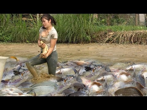 Full Videos: Village Life, Survival Fishing In the Woods, Girl Fishing Catching a Lots Of Big Fish