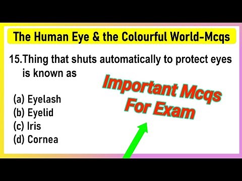 The human eye and the colorful world MCQ | The human eye and the colorful world Class 10 Mcq