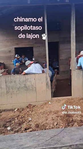 #kieres edentifican jajaja