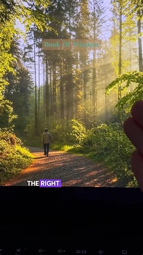 9.2K views · 175 reactions | Music is literally reprogramming your brain.#bookofwisdom #BookTok #book #shop #cozyvibes #dealsforyoudays #fpy # #affiliate #occult #mademebuyit #shoplabordaysale #esoteric | Light For The Soul | Facebook