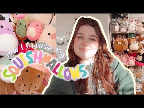 How I Organize My Squishmallow Collection | Organize W/ Me