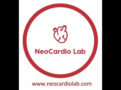 Neonatal Echocardiography - Apical views