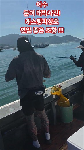 여수 문어낚시는 연일 대박!!!캐스팅피싱호 굿굿굿!#캐스팅피싱호 #여수문어 #문어낚시 #여수선상낚시 #여수생횔낚시