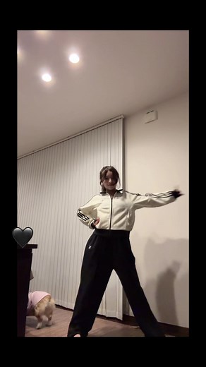うろちょろしてるコーギーさんのダンス