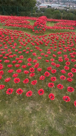 International Bomber Command Centre, Lincoln. • #ukairfields #avgeek #avgeeks #aviation #instagramaviation #aviationdaily #aviationhistory #ibcc #bombercommand #bombercommandmemorial #poppy #poppies #avrolancaster #lancasterbomber #internationalbombercommandcentre #rafbombercommand #remembrance #lestweforget #wewillrememberthem #lincoln #spire #lancaster #shortstirling #vickerswellington #bombercounty #ww2 #ww2history #aviationmemorial #royalairforce #raf | UK Airfields