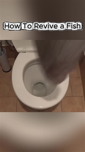 How to save the fish #content #howtobasic #crazy