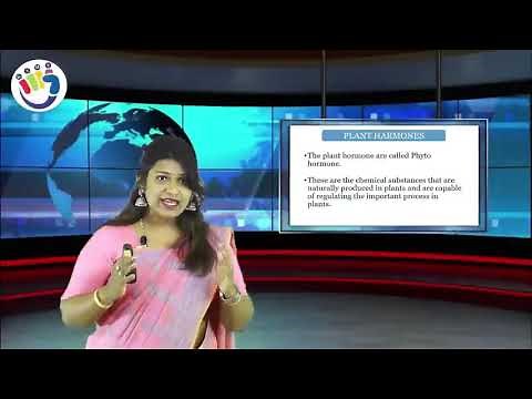 HYBRID VIDYA - VIRTUAL CLASS ROOM