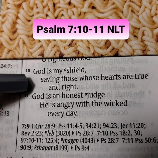 18 reactions | Psalm 7:10-11 NLT — God is my shield, saving those whose hearts are true and right. God is an honest judge. He is angry with the wicked every day. #bibleverse #bible | Ardee Faultersack | Facebook