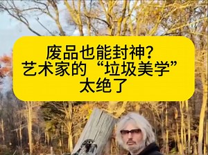 废品也能封神？艺术家的“垃圾美学”太绝了。