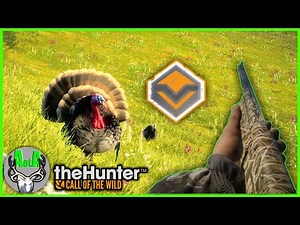 Diamond Strutting Turkey | how to get them Strutting and Gobbling | theHunter Call of the Wild