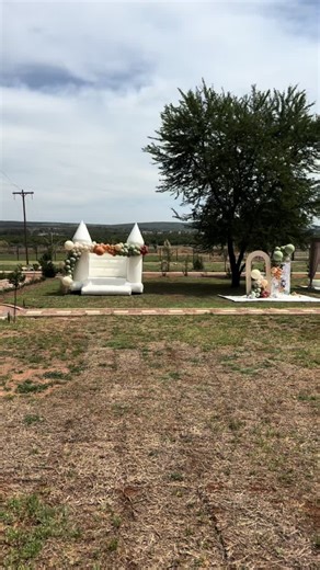 Olereko's Wild Two Safari-Themed Party Decorations