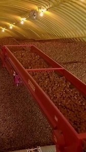 Want to wow your guests with the creamiest, most flavorful potatoes this Thanksgiving? Be sure to use 100% Idaho® potatoes! Tap the link in our bio to find out where to grab them nearby and take your holiday dishes up a notch! 🥔 https://ow.ly/vIs850TVI2O | Famous Idaho Potatoes