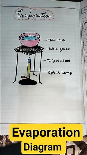 Evaporation Diagram (science). #kidsbasicstudy #sciencework #sciecediagram