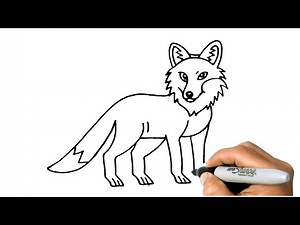 How to DRAW a FOX Easy Step by Step Animal Drawings