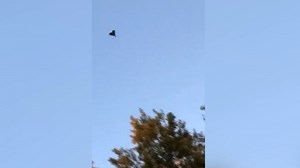 Video appears to show Iranian 'kamikaze' drone used to attack Ukraine's capital