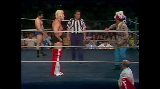 WWF All Star Wrestling Jun 07 1980