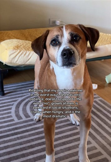 My Dog Is a Mini Me: A Hilarious Reflection