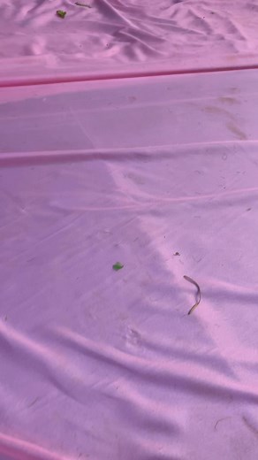 23 reactions | Sometimes drink beer ..problems no dey finish | Emma Ngene | Facebook