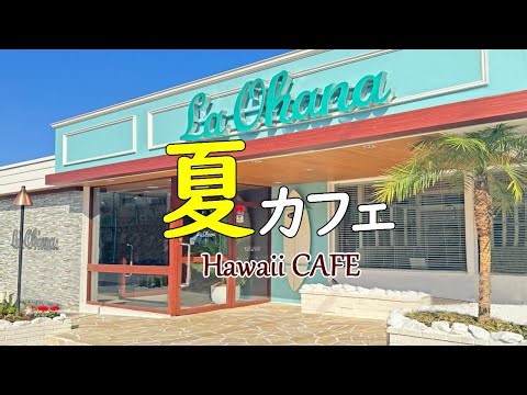 【真夏のカフェミュージック】ハワイのカフェ音楽 まるでお部屋がハワイの喫茶店♬ 音楽で癒され暑い夏を乗り切ろう♪ - 作業用や読書のお供に -