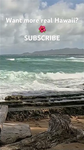 Waipouli Beach 🌊 A Real Kauaʻi Ocean Escape #Shorts