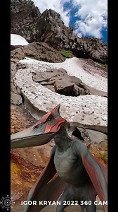 Camera Caught Weirdest Alien Creature Flying Cryptid. What In the World Is That? #shorts #igorkryan #pterodactyl #pterosaur #alivedinosaur #whatisthat #wildest #cryptid | Creator’s Riddle: Darwin vs. God | Facebook