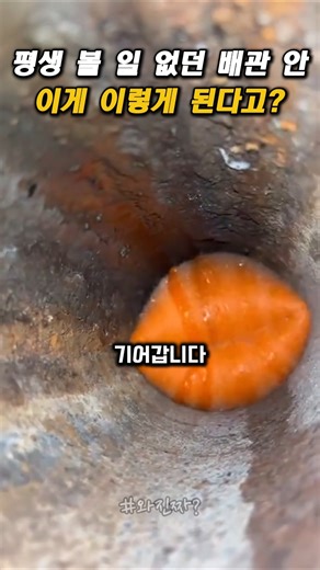 평생 볼 일 없던 배관 안 세계… ‘이게 이렇게 된다고?